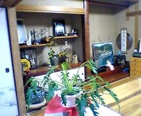 4年ぶりの再会！
