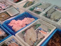 八戸 2008/12/19 20:53:48