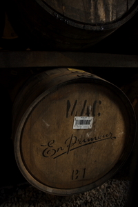 The MACALLAN 2008/11/10 21:05:35