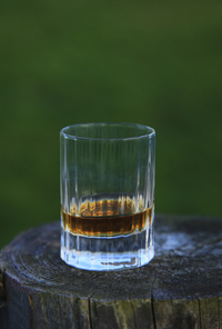 The MACALLAN 2008/11/10 10:25:52