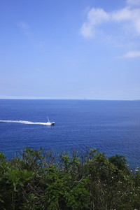 梅雨は？ 2008/05/14 10:59:29
