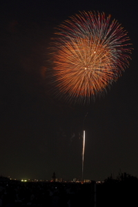 市川花火大会 2008/08/09 10:37:06