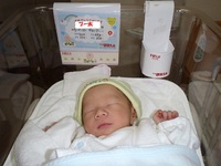 生まれました。 2011/12/01 12:59:34