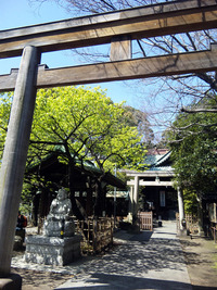 続.さくらぁぁ 2010/03/31 20:02:21