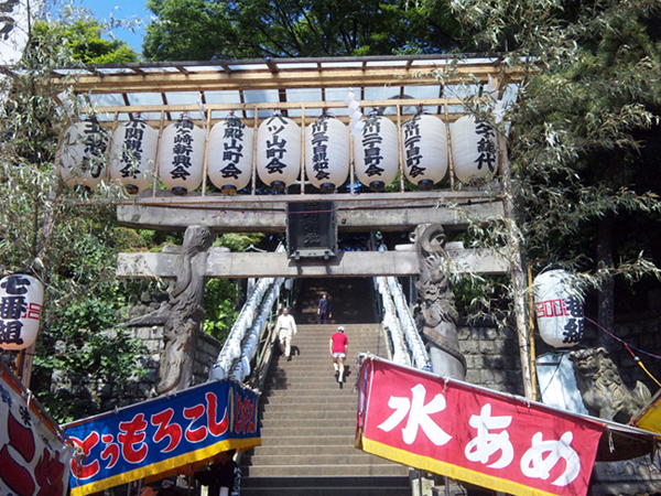 今年もヤッテル