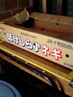 聞いた事も無い