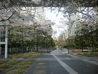 離れて判る事 2010/04/09 20:36:51