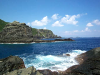 どうするの？ 2009/08/15 17:41:21