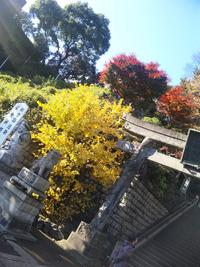 出勤前に 2010/12/05 21:56:13
