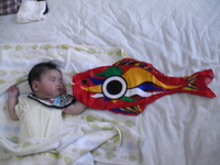 初節句 2007/03/01 07:45:46