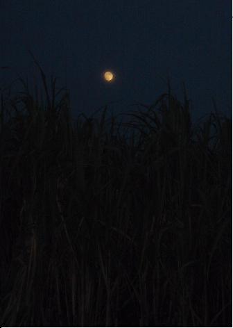 糸満の空を見上げた夏休み