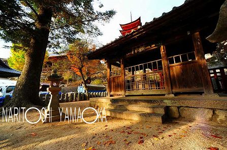 荒胡神社：宮島の紅葉