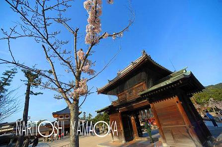 大願寺山門