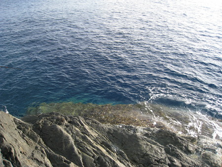 夏の海