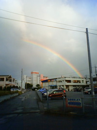 2011年01月17日