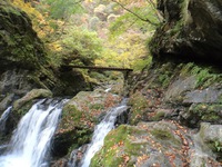 奥多摩　川苔山