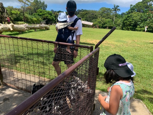 美容師の休日