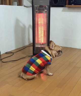 案内状の返信はお済みでしょうか？