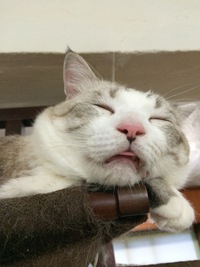 皆んな元気にしてますか？