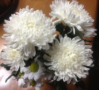 9月18日の記事 2013/09/18 12:53:33