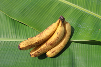 バナナの残留農薬 2020/09/14 11:02:52