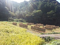 祈り 2015/10/17 01:43:35