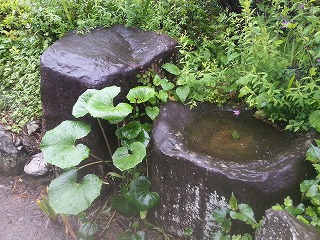 こいのぼりの準備