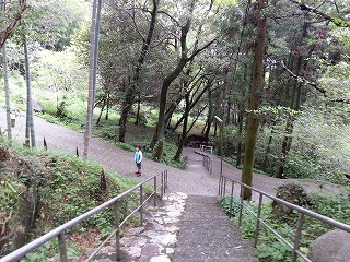 平尾台カルスト台地