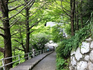 平尾台カルスト台地