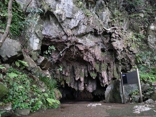 平尾台カルスト台地
