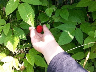 家の周りは花盛り