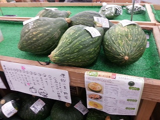ビゼンクラゲを求めて備前の国へ