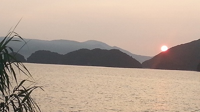 孫くんの夏休み
