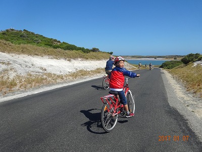 パートⅡ　オーストラリア　ロットネスト島　自転車ツアー　