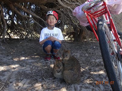 パートⅡ　オーストラリア　ロットネスト島　自転車ツアー　