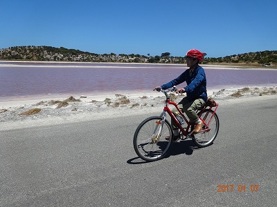 パートⅡ　オーストラリア　ロットネスト島　自転車ツアー　