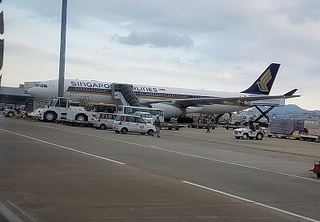 パートⅣ　シンガポール観光～シンガポール航空～福岡着