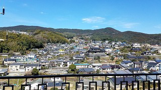 盲腸ガン（大腸がん）　手術から　退院まで