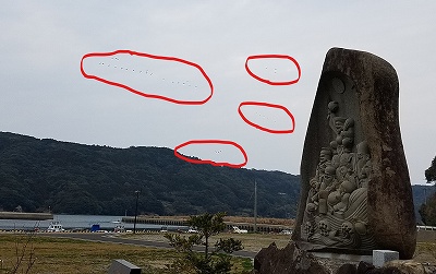 鹿児島出水の鶴　　鹿町町上空を北帰行　