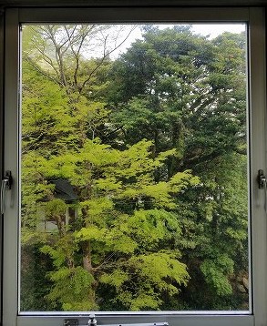 秘境の里　祖谷のかずら橋と祖谷川の小便小僧　（徳島）