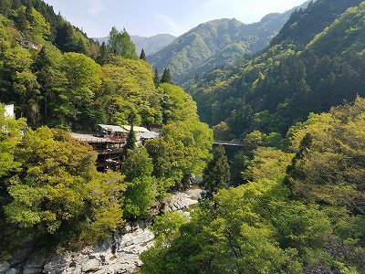 秘境の里　祖谷のかずら橋と祖谷川の小便小僧　（徳島）