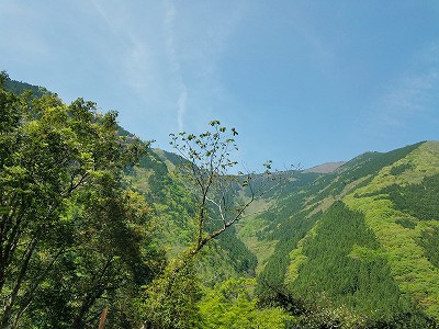 秘境の里　祖谷のかずら橋と祖谷川の小便小僧　（徳島）
