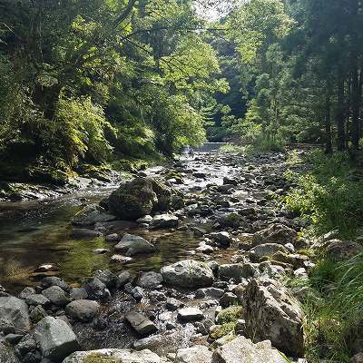 里帰り　長兄の初盆　
