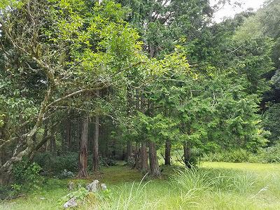 里帰り　長兄の初盆　