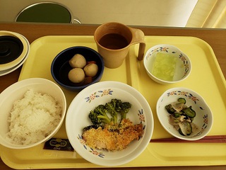 乳がん (ステージⅡB) 手術~退院 乳がん (ステージⅡB) 手術~退院