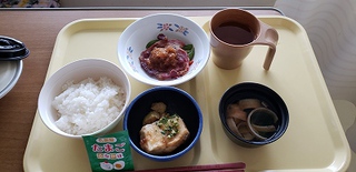 乳がん (ステージⅡB) 手術~退院 乳がん (ステージⅡB) 手術~退院