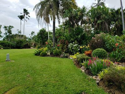 ダーウィン　セグウェイでジョージ ブラウン ダーウィン植物園　　　　　　　　　　旅行４日目　午後