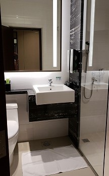 チャンギ空港　トランジットホテル休息　帰国