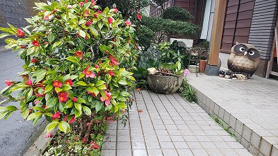 春雨
