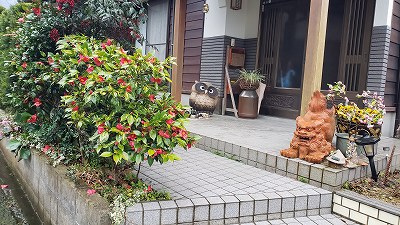 春雨
